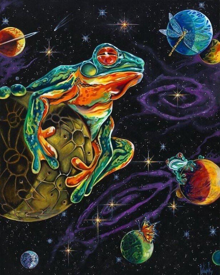 Буфо альвариус церемония - bufo alvarius sapo 5-meo-dmt
