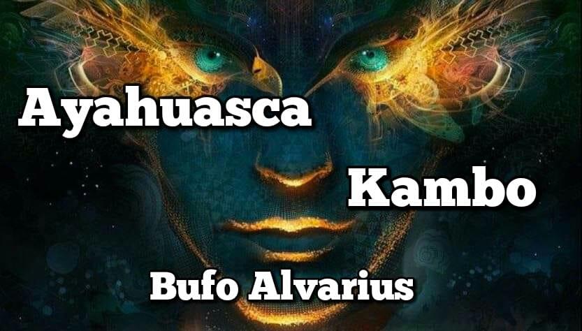 аяваска аяхуаска ayahuasca аяуаска Буфо Альвариус Камбо церемонии