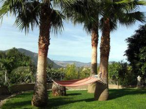 Вилла дом ретрит Испания Айяхуаска