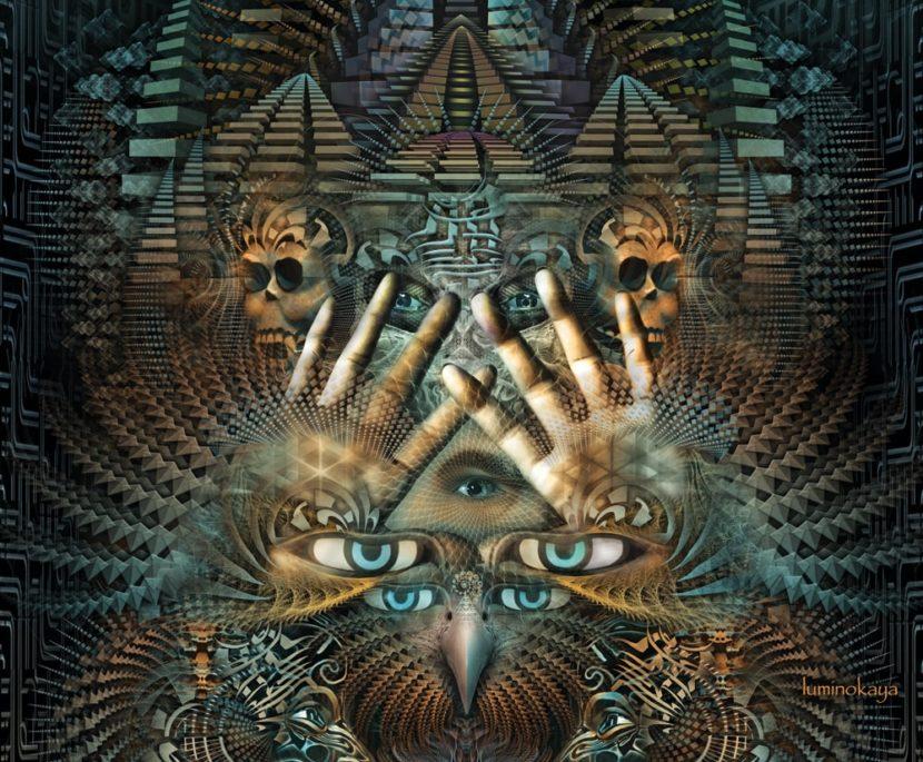 Буфо альвариус церемония - bufo alvarius sapo 5-meo-dmt