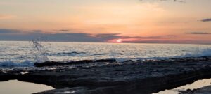 Аяхуаска аяваска буфо альвариус камбо Турция